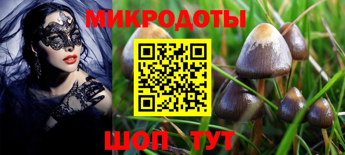 Галлюциногенные грибы Psilocybine cubensis Новокубанск