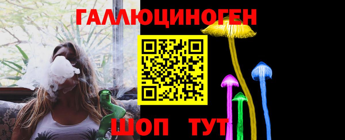 Новокубанск  магазин    Вход с VPN  Псилоцибиновые грибы Psilocybe  Псилоцибиновые грибы Psilocybine cubensis 